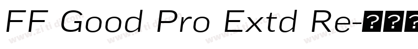 FF Good Pro Extd Re字体转换